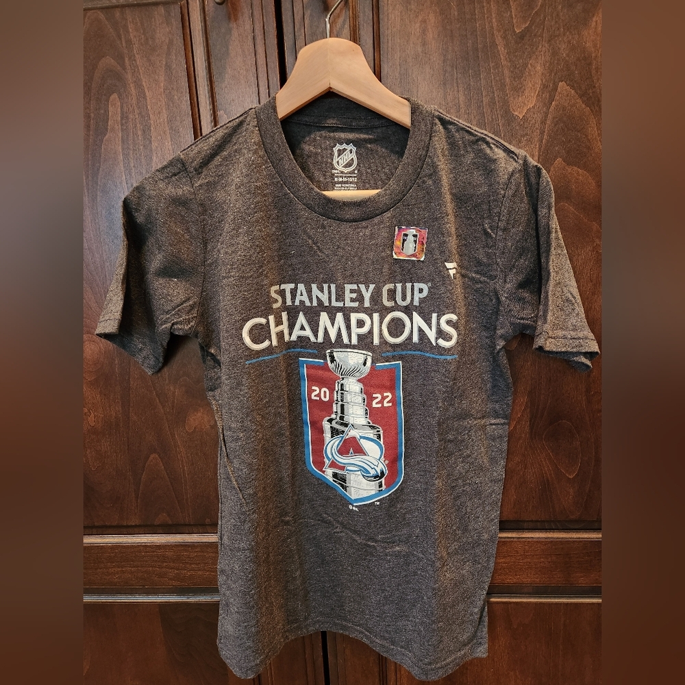 Stanley Cup Champions Gray T-Shirt